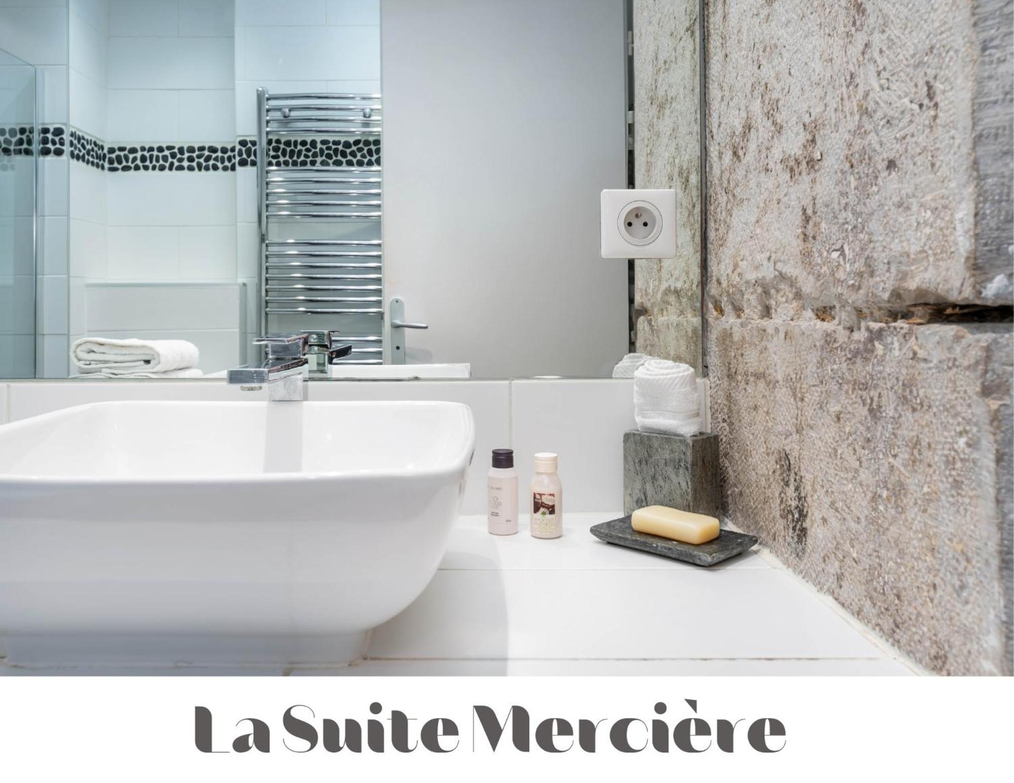 Le Carre Merciere , Appartements De Luxe Au Coeur De Lyon, Loft Et Studio Exterior foto